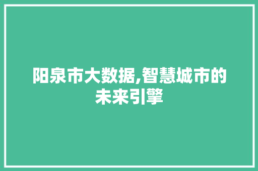 阳泉市大数据,智慧城市的未来引擎
