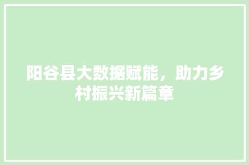 阳谷县大数据赋能，助力乡村振兴新篇章