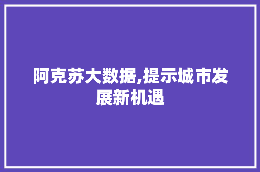 阿克苏大数据,提示城市发展新机遇