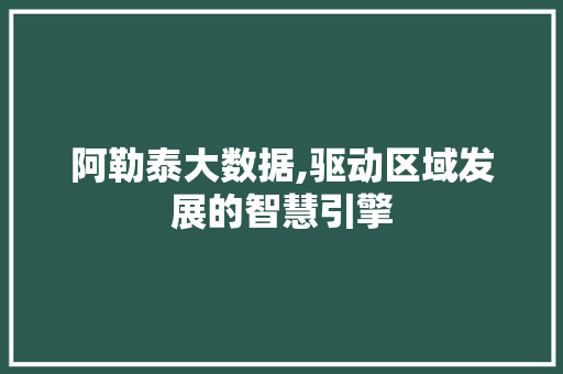 阿勒泰大数据,驱动区域发展的智慧引擎