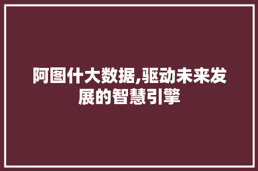 阿图什大数据,驱动未来发展的智慧引擎 AI技术学习