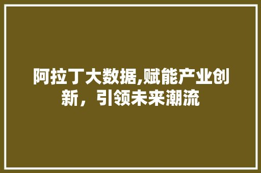 阿拉丁大数据,赋能产业创新，引领未来潮流