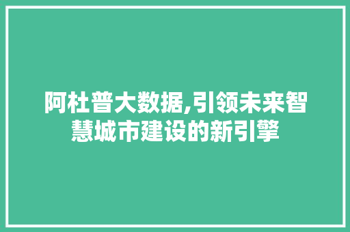 阿杜普大数据,引领未来智慧城市建设的新引擎 百度算法