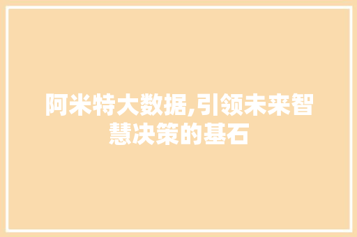 阿米特大数据,引领未来智慧决策的基石 360搜优化