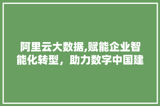 阿里云大数据,赋能企业智能化转型，助力数字中国建设 网站优化