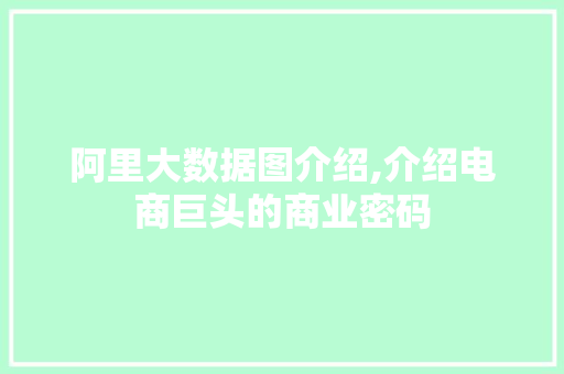 阿里大数据图介绍,介绍电商巨头的商业密码