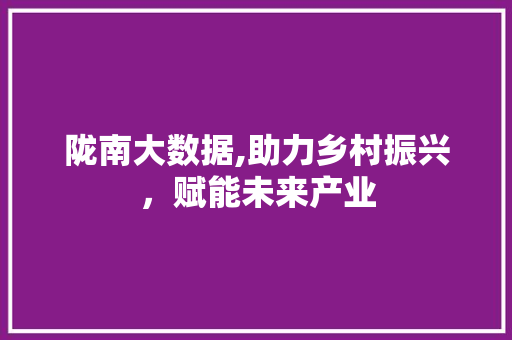 陇南大数据,助力乡村振兴，赋能未来产业