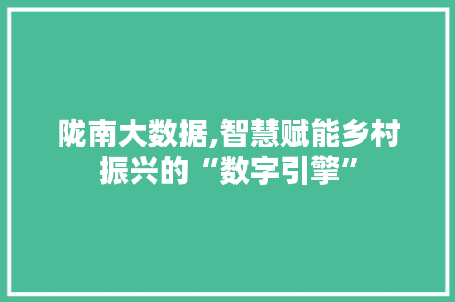 陇南大数据,智慧赋能乡村振兴的“数字引擎”