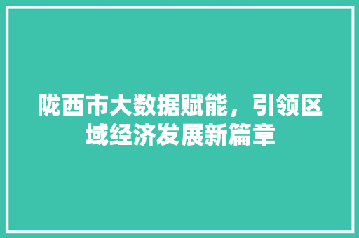 陇西市大数据赋能，引领区域经济发展新篇章
