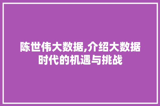 陈世伟大数据,介绍大数据时代的机遇与挑战