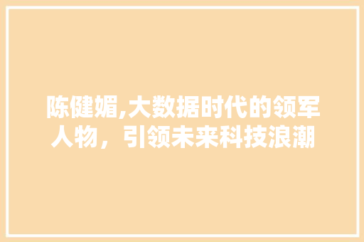 陈健媚,大数据时代的领军人物，引领未来科技浪潮 seo技术