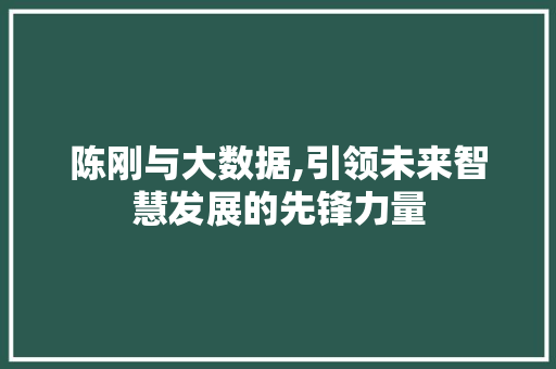 陈刚与大数据,引领未来智慧发展的先锋力量 网站优化