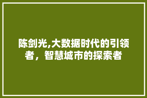 陈剑光,大数据时代的引领者，智慧城市的探索者 网站优化