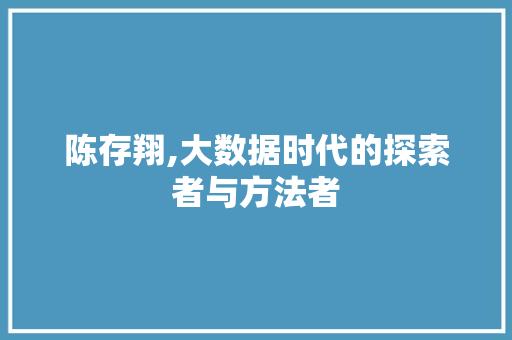 陈存翔,大数据时代的探索者与方法者
