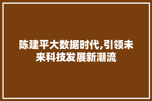陈建平大数据时代,引领未来科技发展新潮流 小程序开发