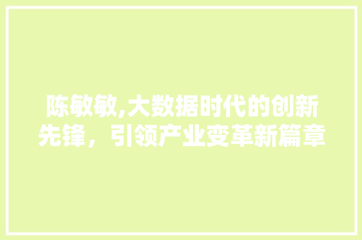 陈敏敏,大数据时代的创新先锋，引领产业变革新篇章 AI技术学习