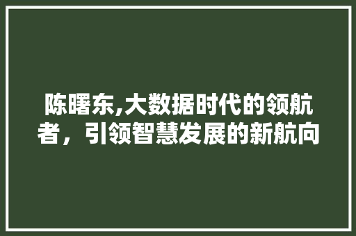 陈曙东,大数据时代的领航者，引领智慧发展的新航向 小程序开发