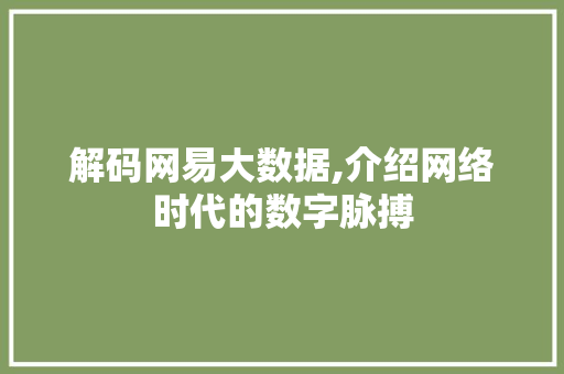 解码网易大数据,介绍网络时代的数字脉搏