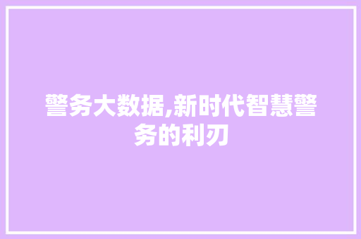 警务大数据,新时代智慧警务的利刃 seo技术