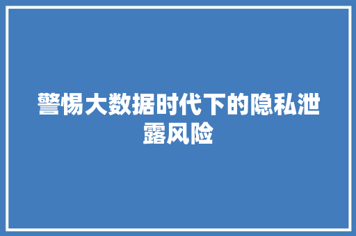警惕大数据时代下的隐私泄露风险