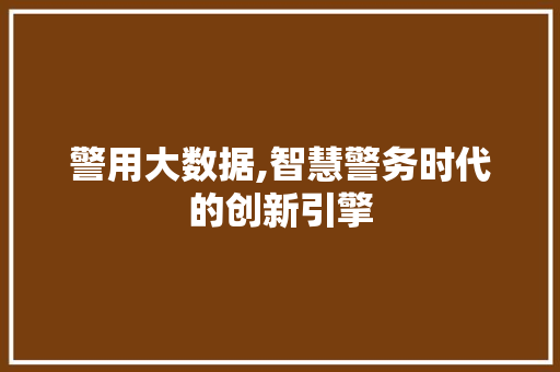 警用大数据,智慧警务时代的创新引擎
