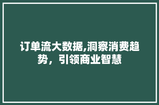 订单流大数据,洞察消费趋势，引领商业智慧