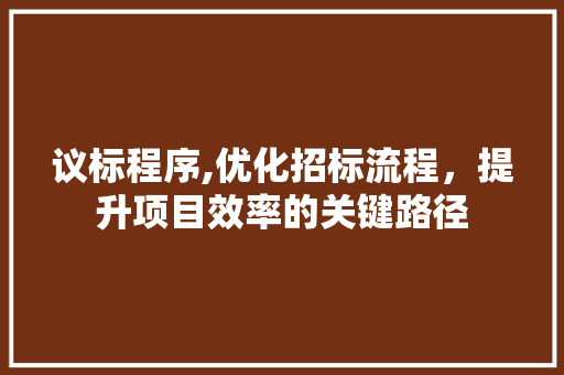 议标程序,优化招标流程，提升项目效率的关键路径 网站优化