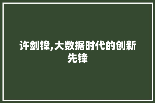 许剑锋,大数据时代的创新先锋