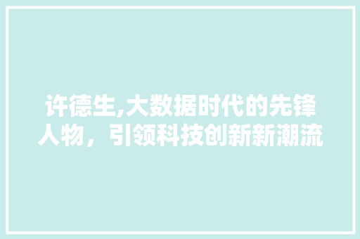 许德生,大数据时代的先锋人物，引领科技创新新潮流