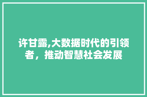 许甘露,大数据时代的引领者，推动智慧社会发展
