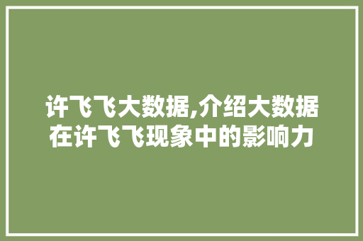 许飞飞大数据,介绍大数据在许飞飞现象中的影响力