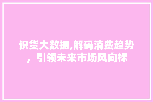 识货大数据,解码消费趋势，引领未来市场风向标
