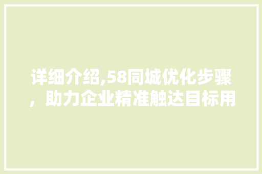 详细介绍,58同城优化步骤，助力企业精准触达目标用户