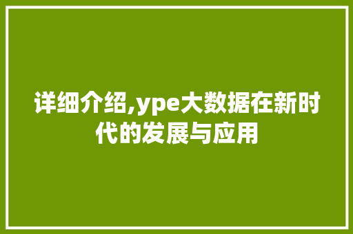详细介绍,ype大数据在新时代的发展与应用
