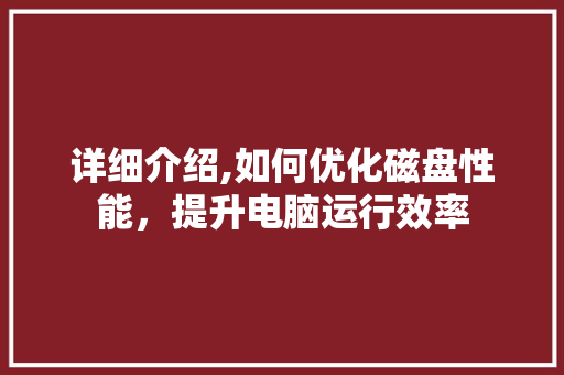 详细介绍,如何优化磁盘性能，提升电脑运行效率