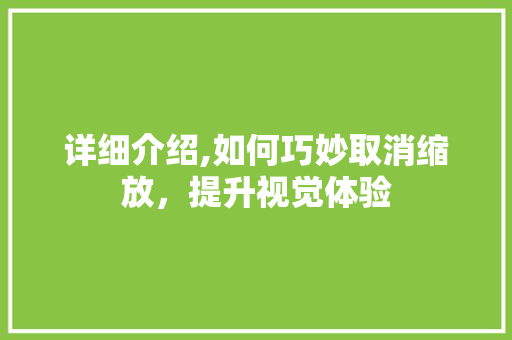 详细介绍,如何巧妙取消缩放，提升视觉体验