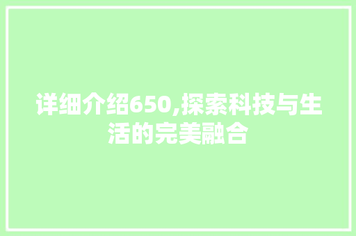 详细介绍650,探索科技与生活的完美融合