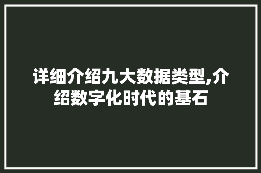 详细介绍九大数据类型,介绍数字化时代的基石