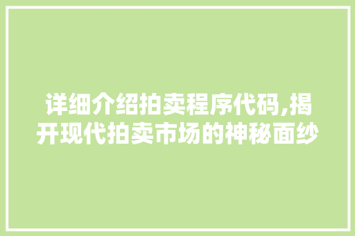详细介绍拍卖程序代码,揭开现代拍卖市场的神秘面纱