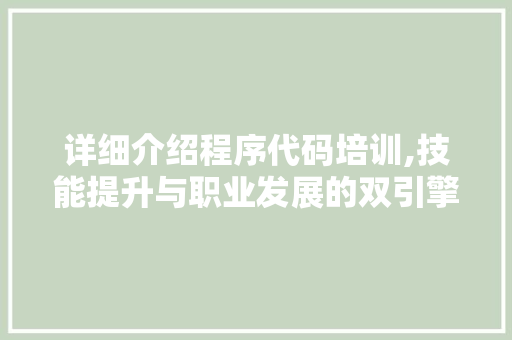 详细介绍程序代码培训,技能提升与职业发展的双引擎