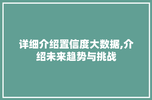 详细介绍置信度大数据,介绍未来趋势与挑战