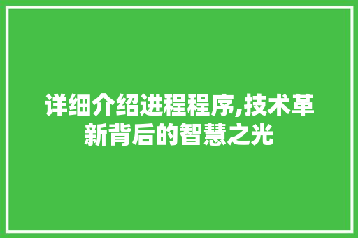 详细介绍进程程序,技术革新背后的智慧之光