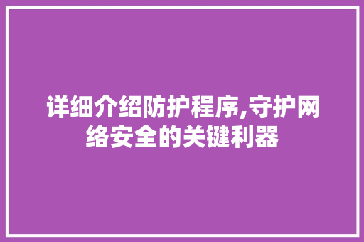 详细介绍防护程序,守护网络安全的关键利器 AI技术学习