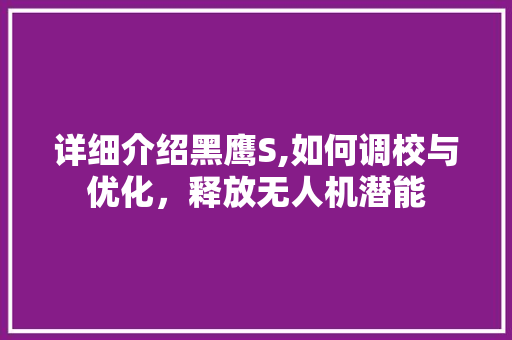 详细介绍黑鹰S,如何调校与优化，释放无人机潜能
