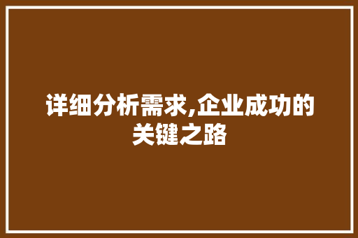 详细分析需求,企业成功的关键之路