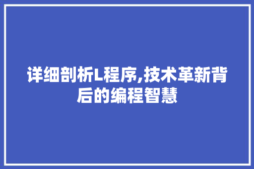 详细剖析L程序,技术革新背后的编程智慧
