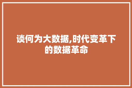 谈何为大数据,时代变革下的数据革命 seo技术
