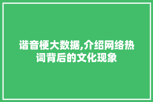 谐音梗大数据,介绍网络热词背后的文化现象
