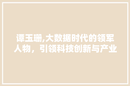 谭玉珊,大数据时代的领军人物，引领科技创新与产业升级 英文谷歌算法