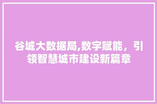谷城大数据局,数字赋能，引领智慧城市建设新篇章